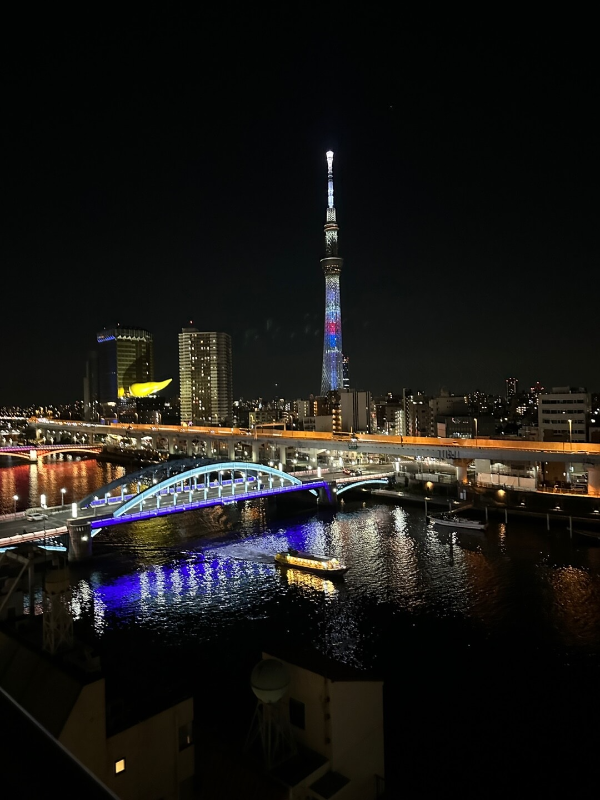 아사쿠사-호텔-야경-스카이트리-루프탑