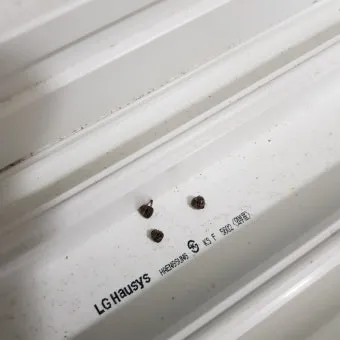 베란다 벌레 완벽 차단 방법과 여름철 실내 해충 예방 꿀팁_3