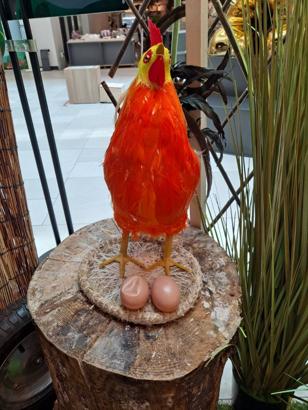 닭이 알을 낳다