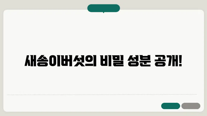 새송이버섯 성분