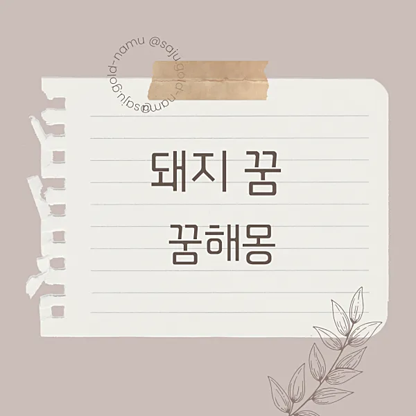 돼지 꿈