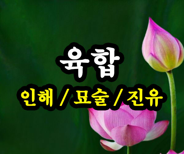 인해 묘술 진유 육합 썸네일