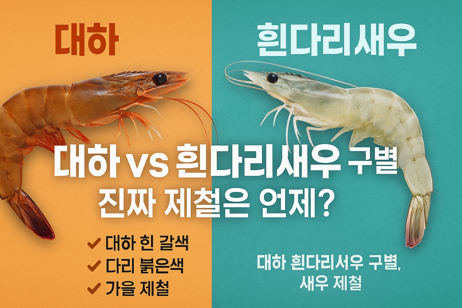 대하 vs 흰다리새우 구별법｜진짜 제철은 언제?