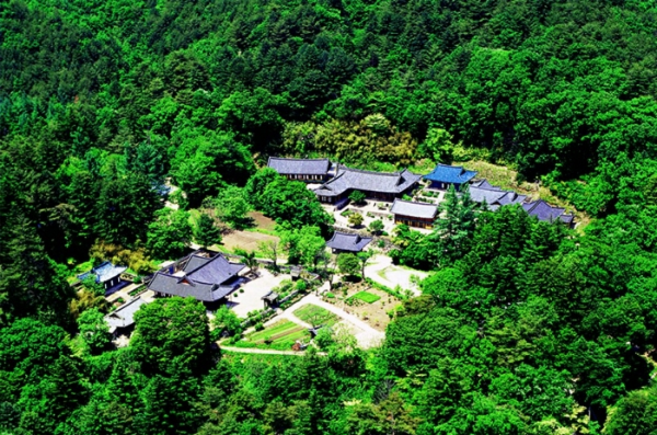 녹음이 우거진 산속에 놓인 사찰 위에서 바라본 전경