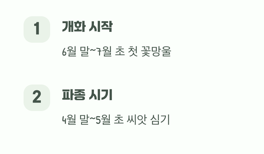 여름의 시작을 알리는 붉은 신호