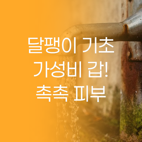 가성비 갑! 달팽이 기초세트, 촉촉 