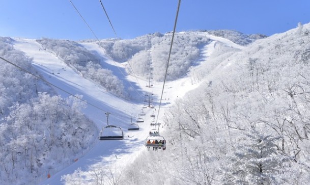 무주 리조트 덕유산 곤도라와 스키장 이용방법 총정리