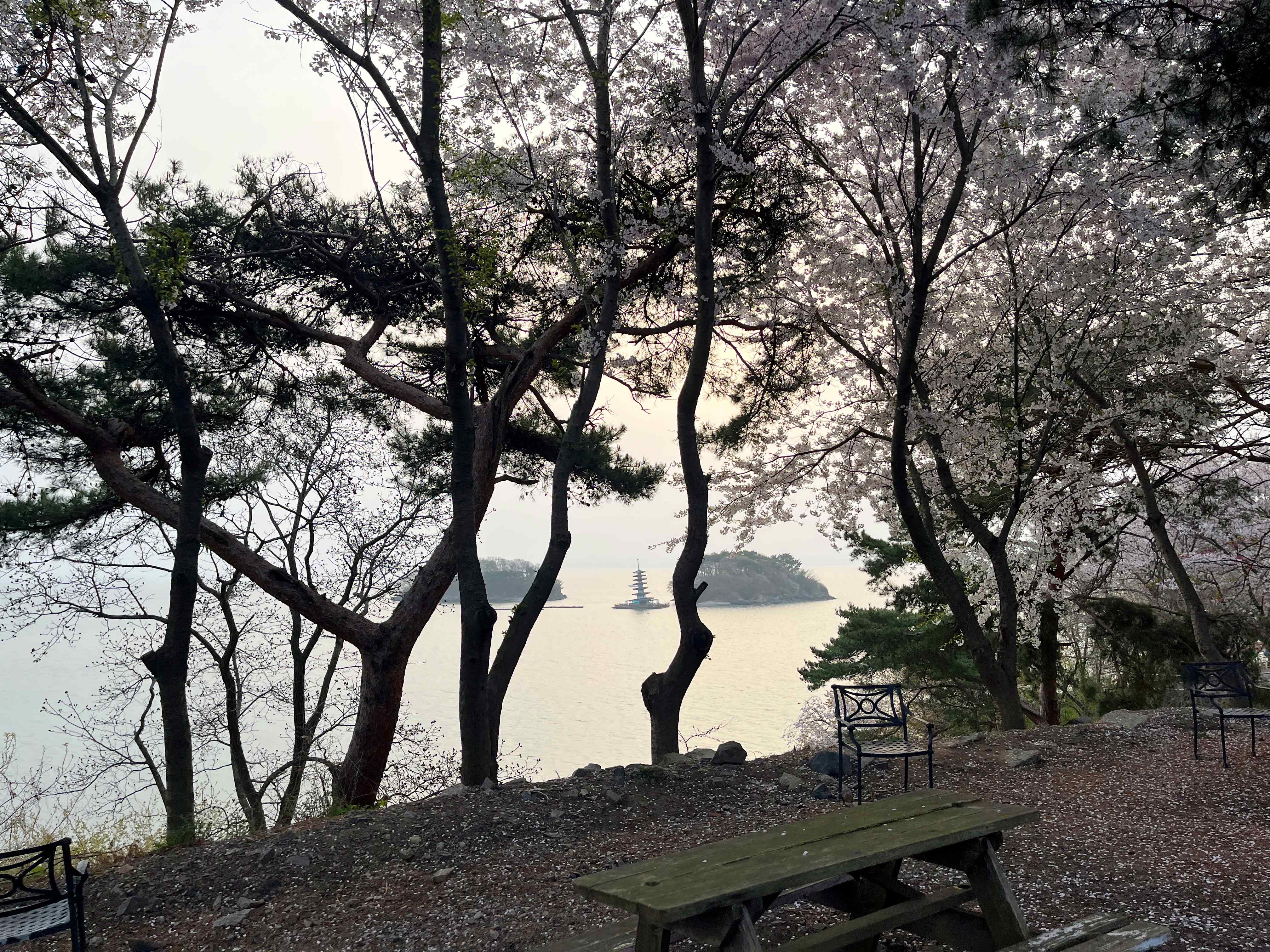 태안 안면암
