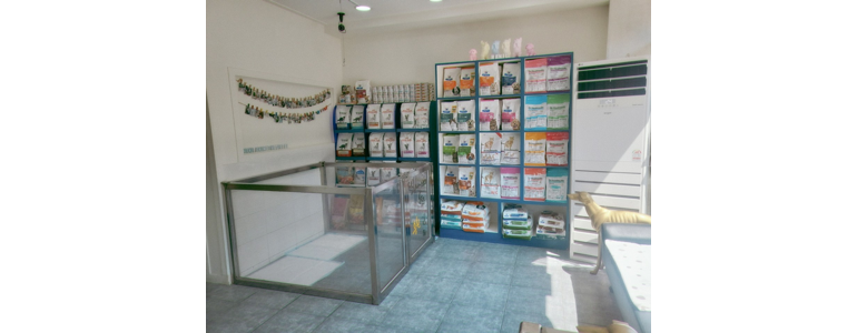 창원 마산합포구 동물병원