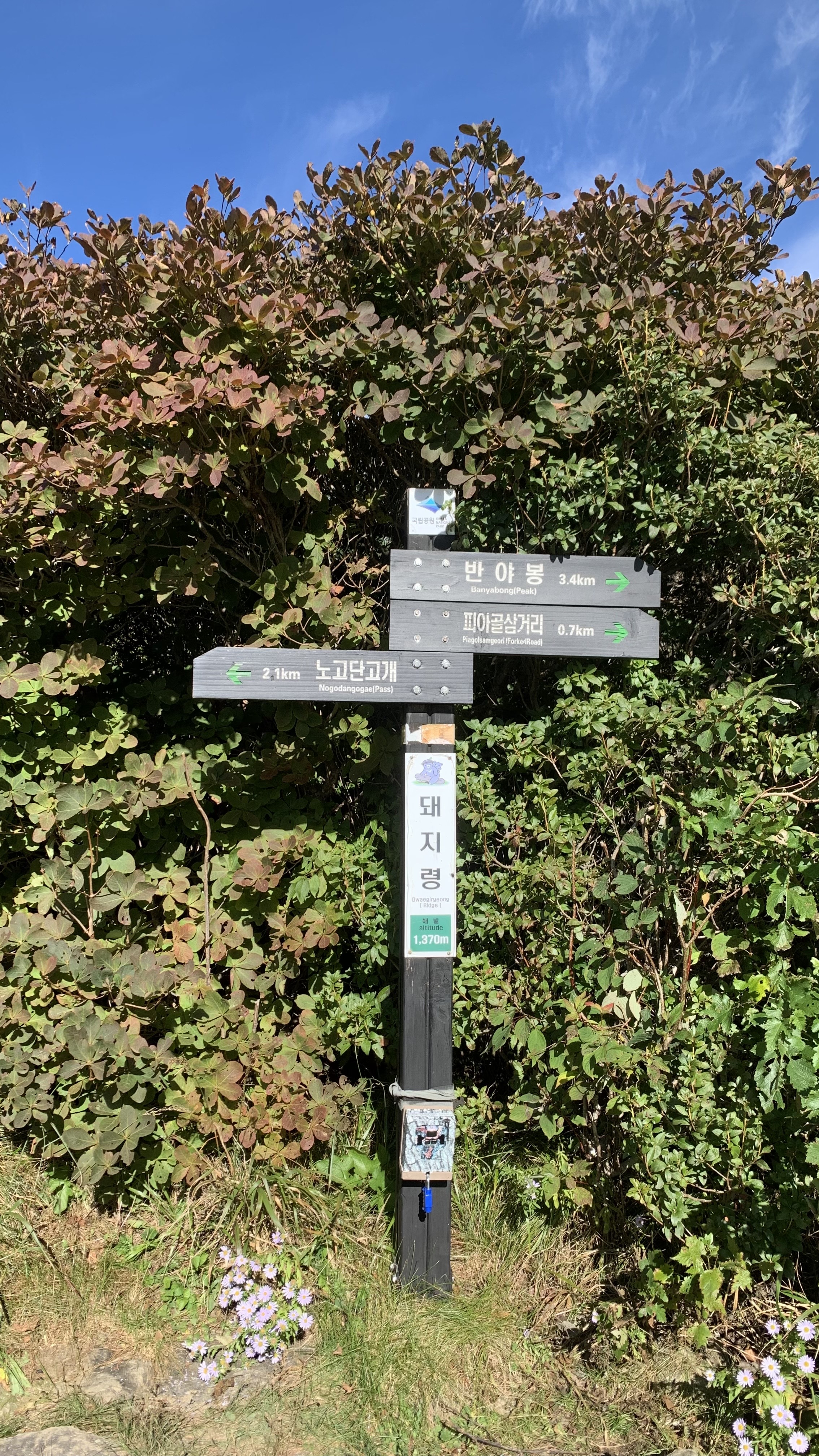 지리산 돼지령