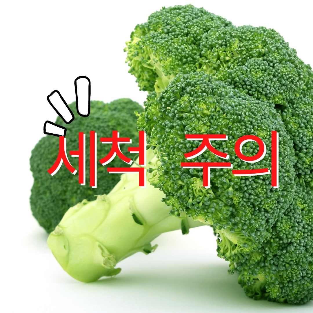 브로콜리