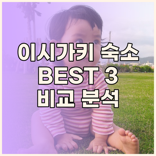 이시가키 여행, 어디서 묵을까? 인기