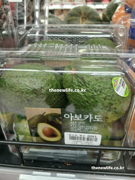 아보카도 효능을 유지하기 위한 신선한 보관법을 설명하는 실사진