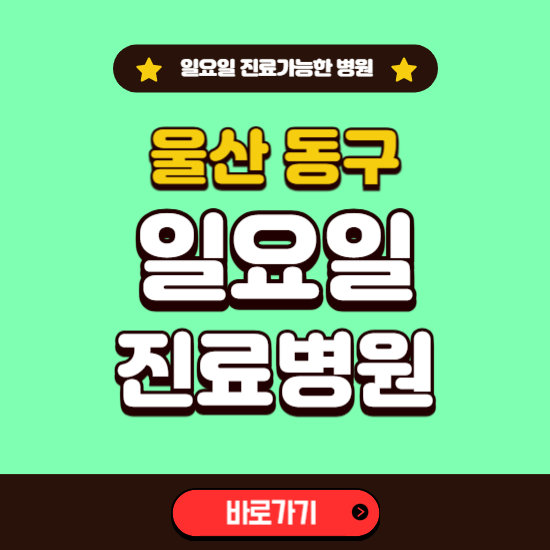 울산 동구 일요일 진료 가능한 병원 ❘ 주말 문여는 곳 총정리 (소아과, 내과, 안과, 치과, 피부과, 정형외과, 산부인과)