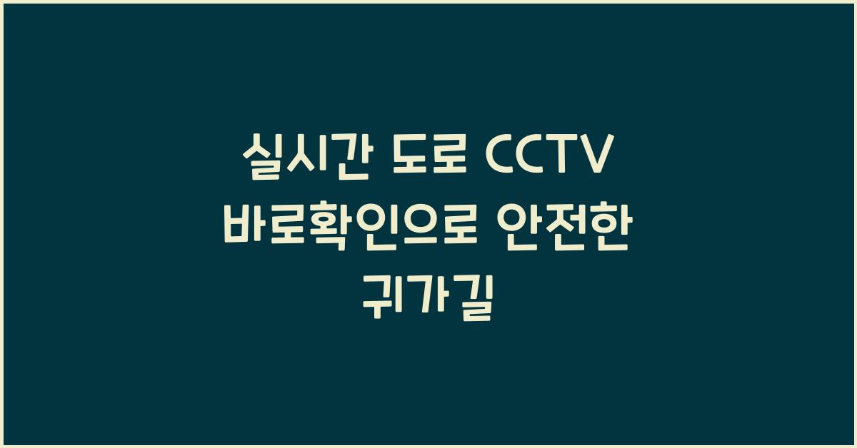 실시간 도로 cctv 바로확인