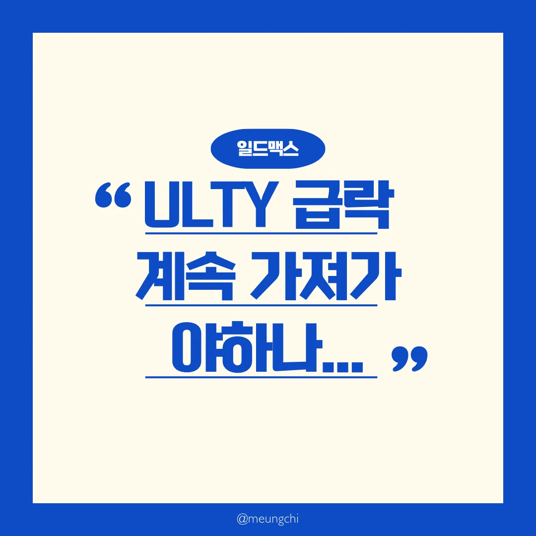 일드맥스-울티-배당투자-실제-후기