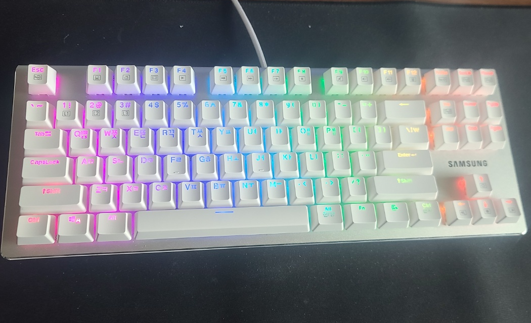 삼성전자 유선 기계식 키보드 SPA-NKG2CUWB