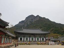 백양사 탐방기 (장성 백암산, 쌍계루, 단풍명소)