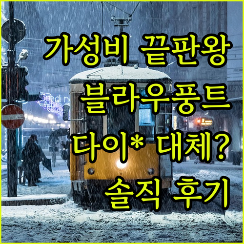 가성비 끝판왕! 블라우풍트 에어 스타..