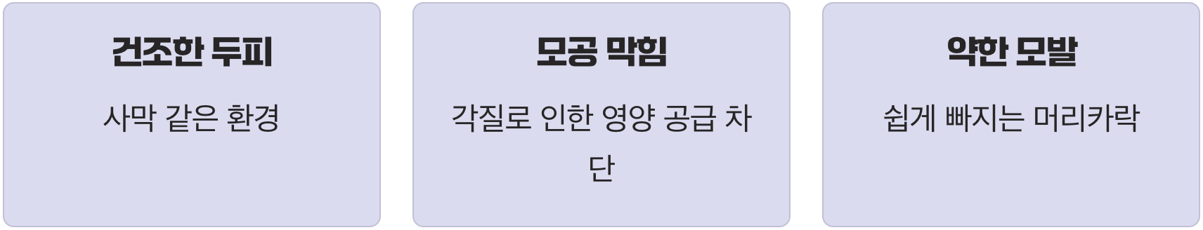 건조한 두피, 머리카락이 살 수 없는 사막