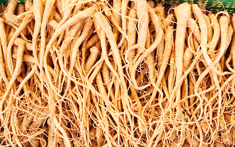 감기에 좋은 음식