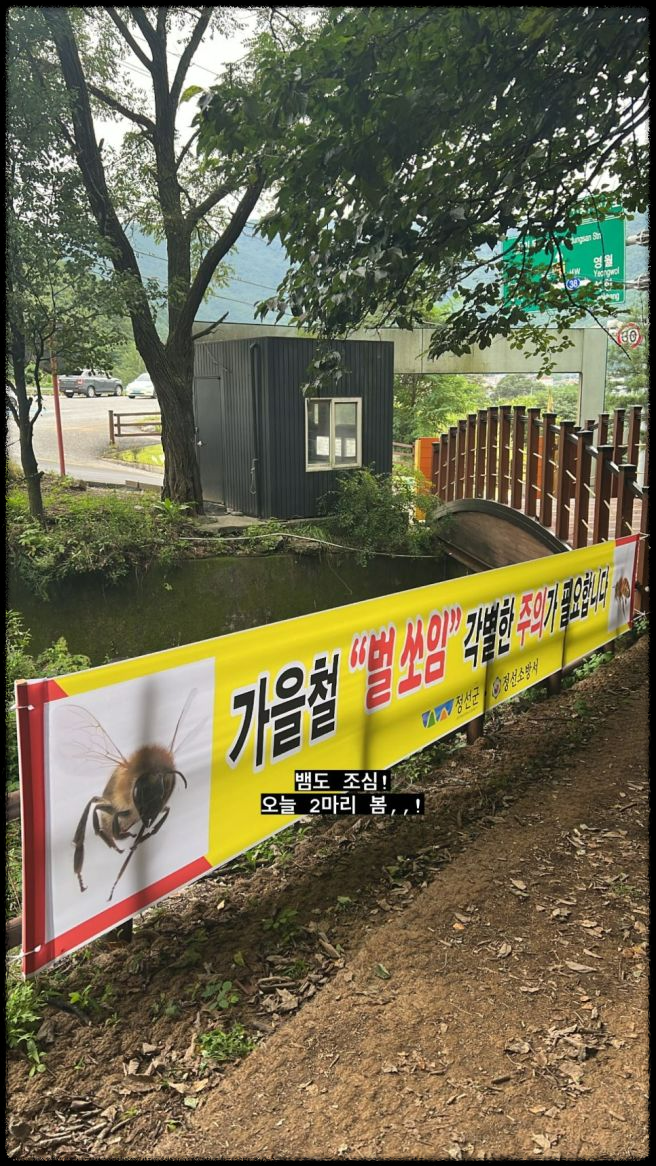 가을 산행에서 벌과 뱀 조심하는 법 - 안전한 산행을 위한 필수 가이