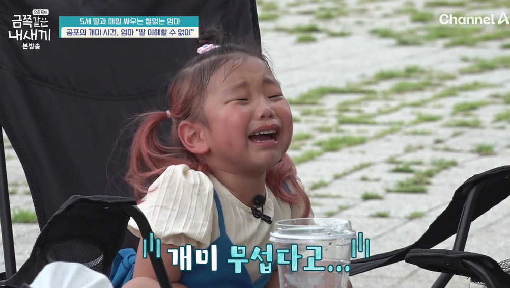 요즘-육아-금쪽같은-내새끼-203회