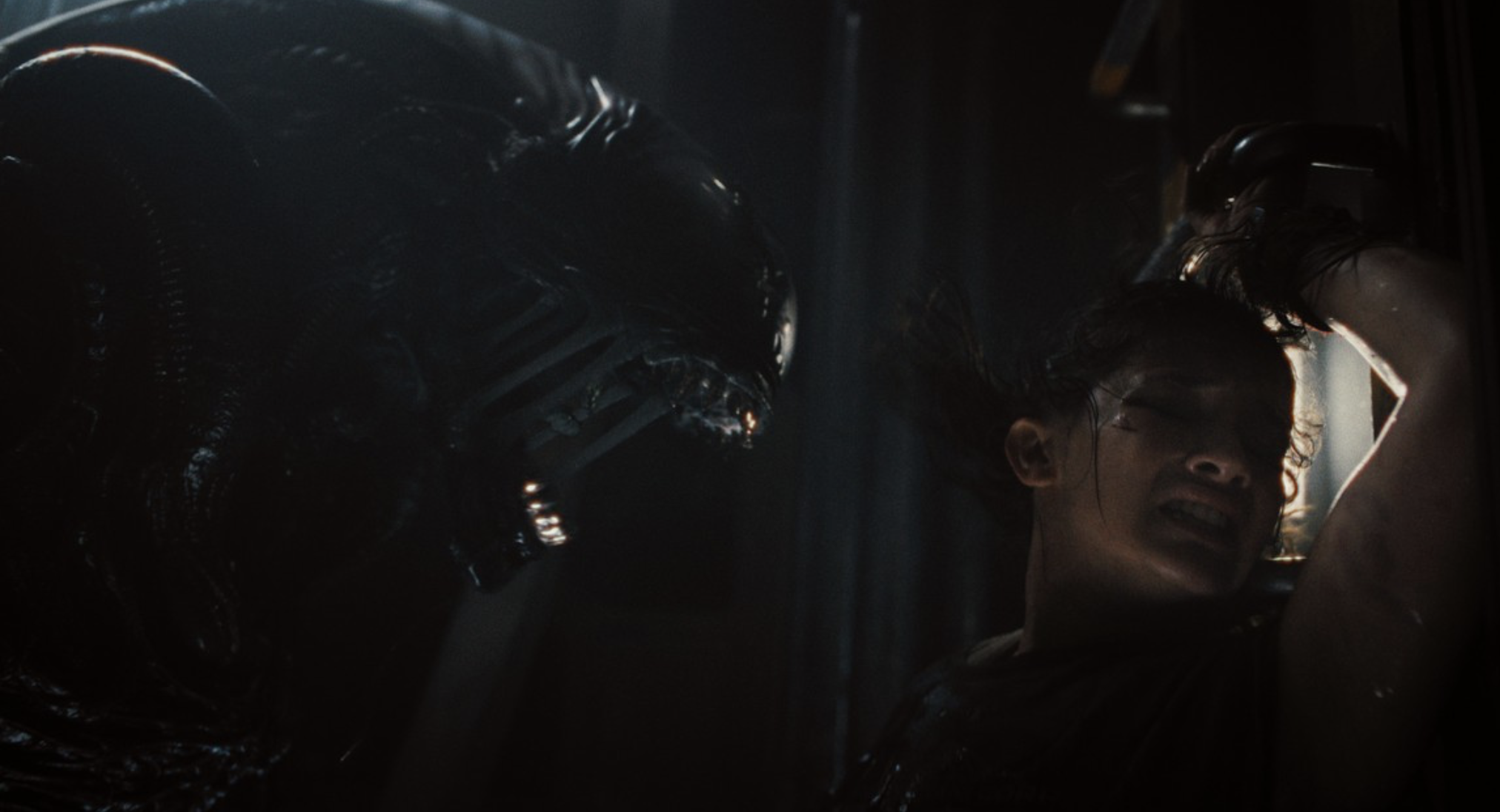 공포 영화 추천 에일리언 로물루스