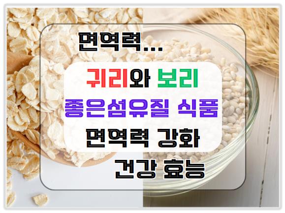 면역력 강화에 좋은 섬유질 식품: 귀리와 보리의 건강 효능