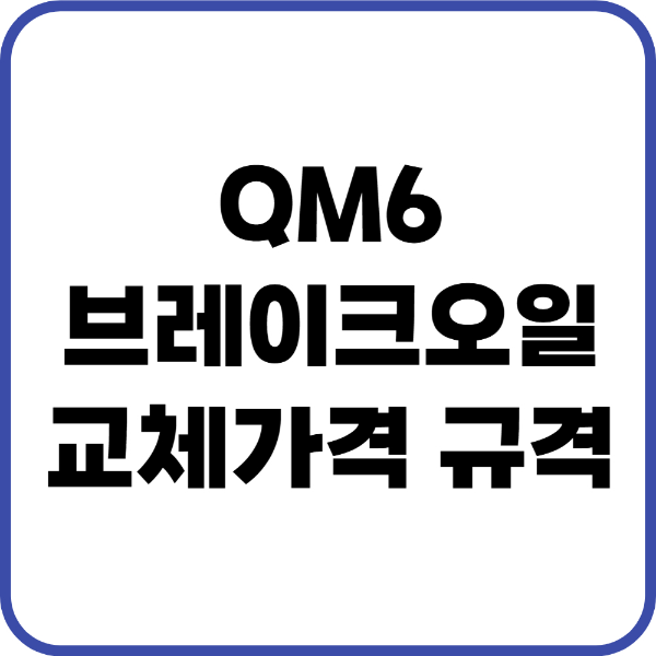 QM6 브레이크오일