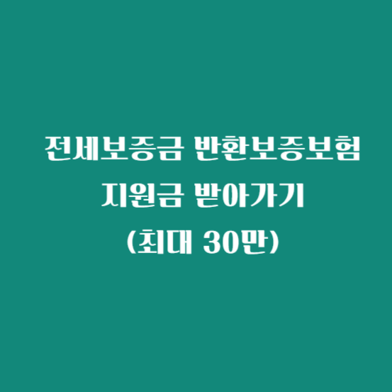 전세보증금 반환보증보험 지원금 받아가기(최대 30만)