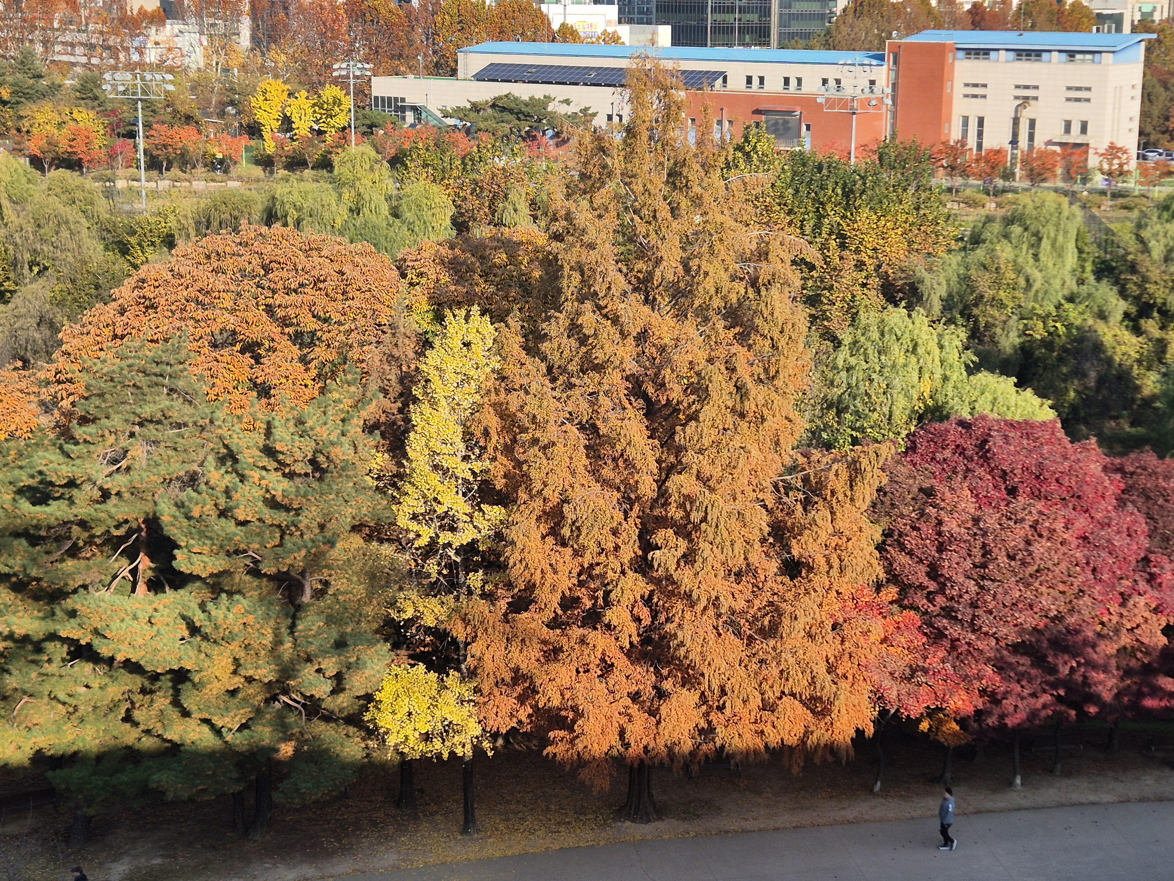 서쪽방향의 가을풍경2