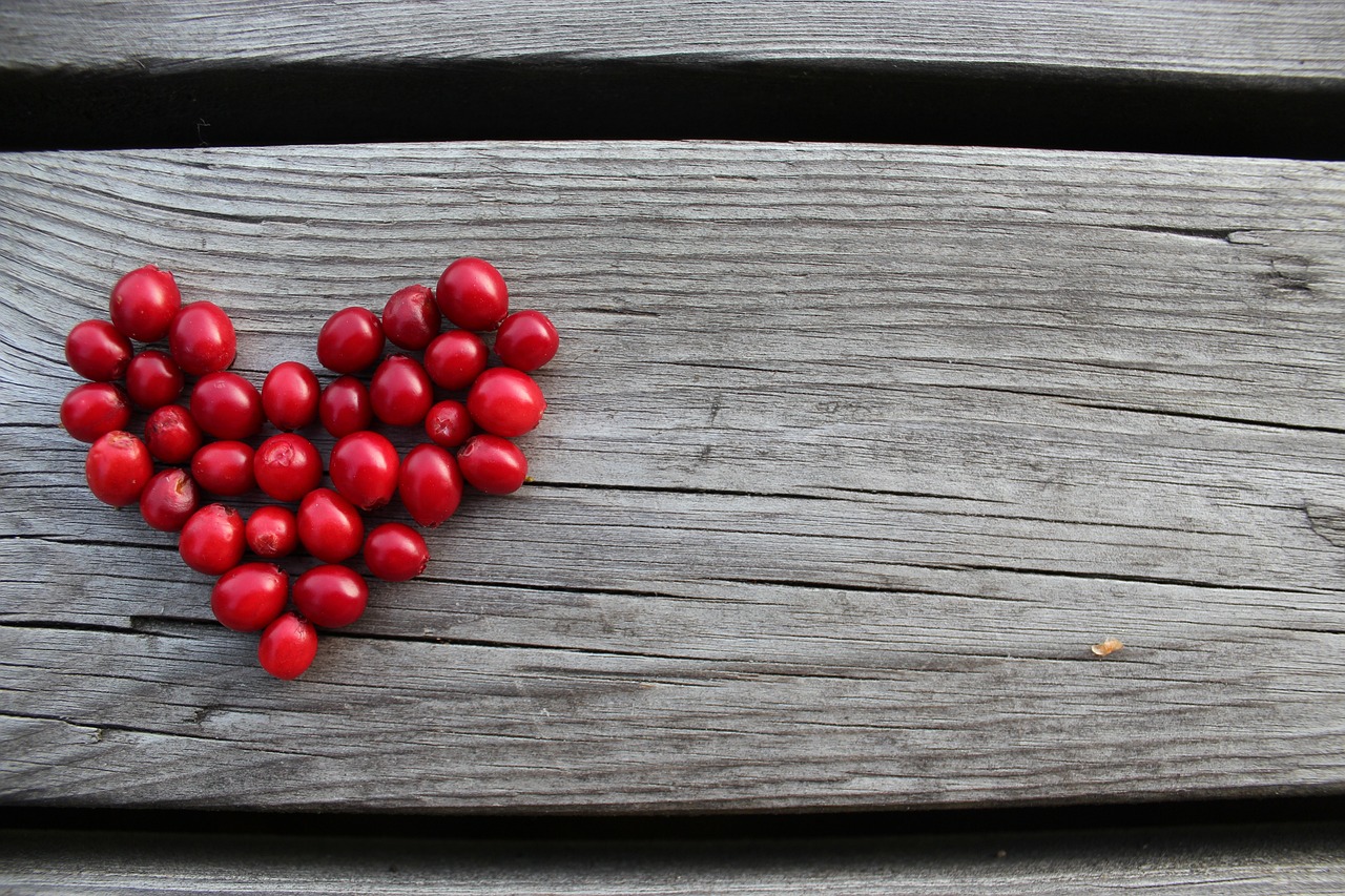 링곤베리 효능, 부작용, 먹는 법 알아보기