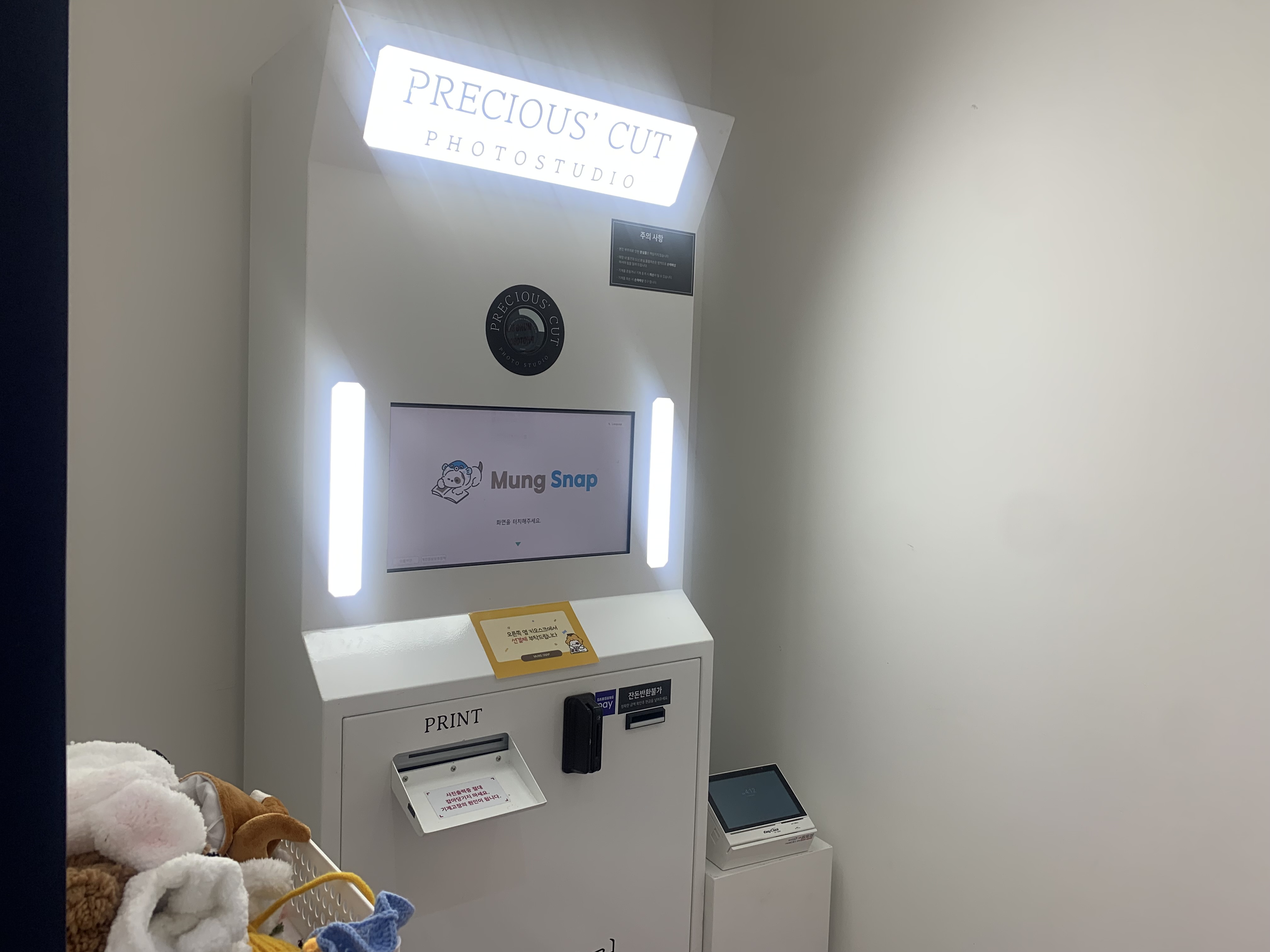 부천 부천시청 애견카페 애견유치원 애견호텔 멍스냅