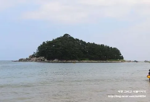 마차진해수욕장