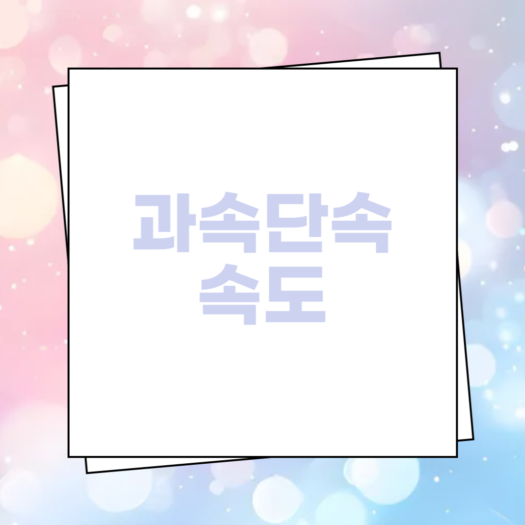 과속단속 속도