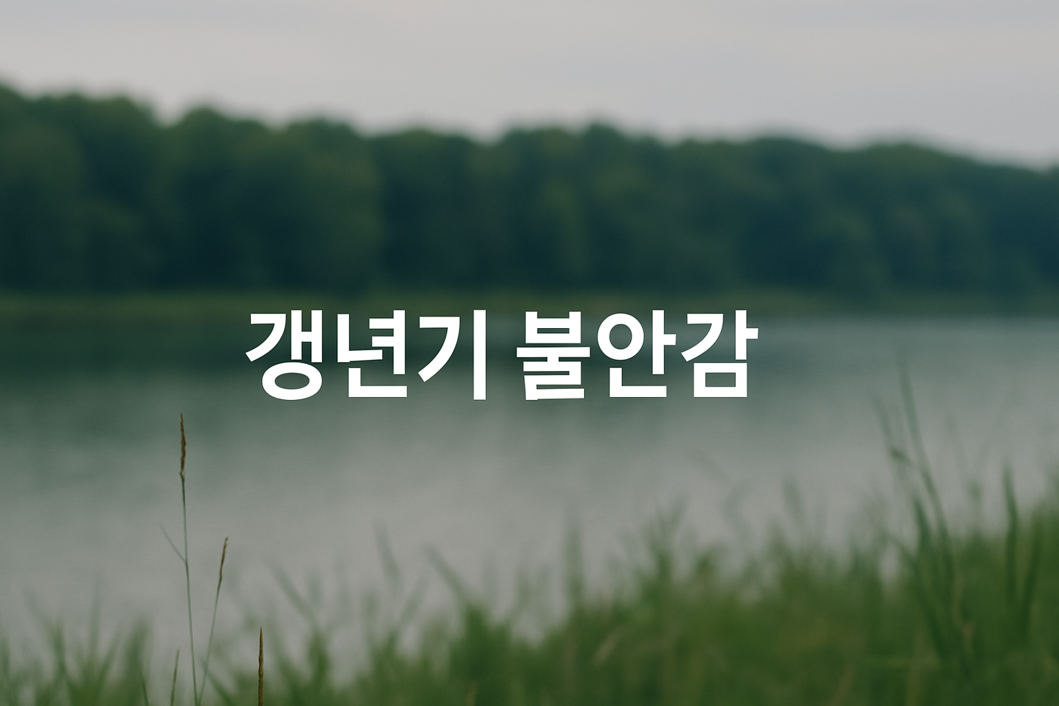 갱년기 불안감 관련 이미지