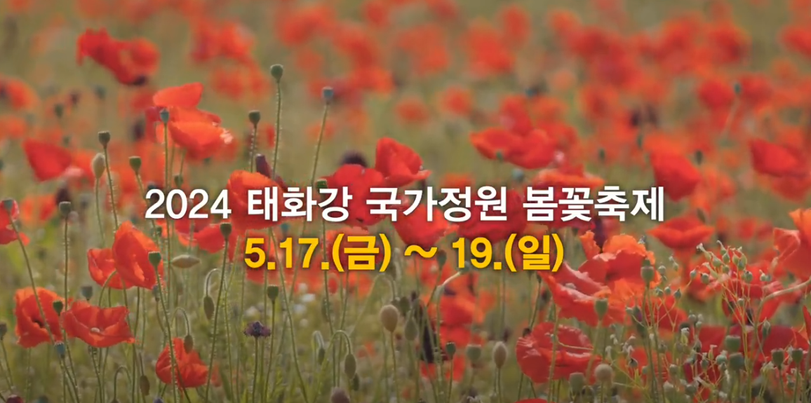 태화강 국가정원 봄꽃 축제: 오월의 울산 축제 즐길거리