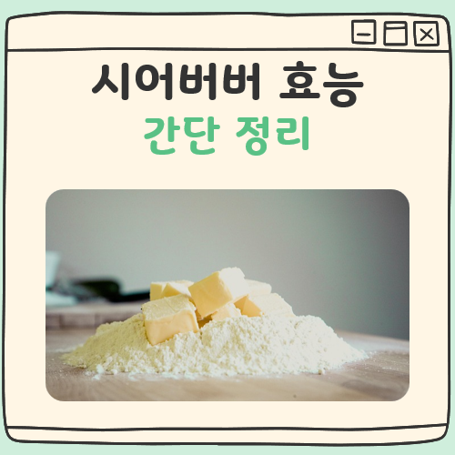 시어버터 효능 대표 이미지