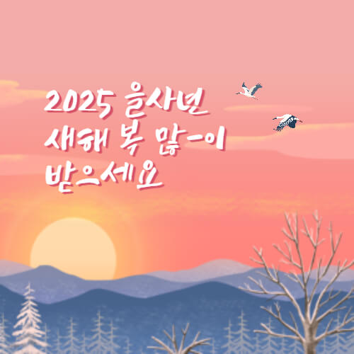 대상별 새해 인사말 추천 2025년 새해 인사말 예시 직장 상사에게 전하는 새해 인사 고객에게 전하는 새해 인사 영어 새해 인사 메시지 2025 새해 인사 새해 인사말 새해 인사 문구 새해 인사 메시지 새해 연하장 문구