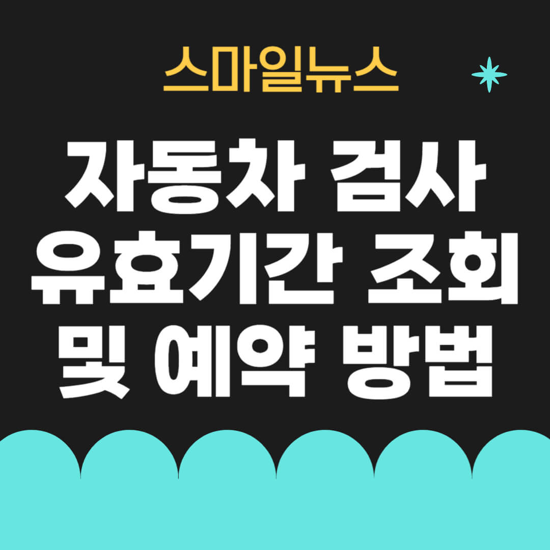 자동차 검사기간 조회 및 예약 방법, 과태료