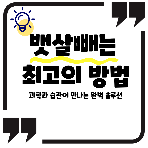 뱃살 빼는 최고의 방법