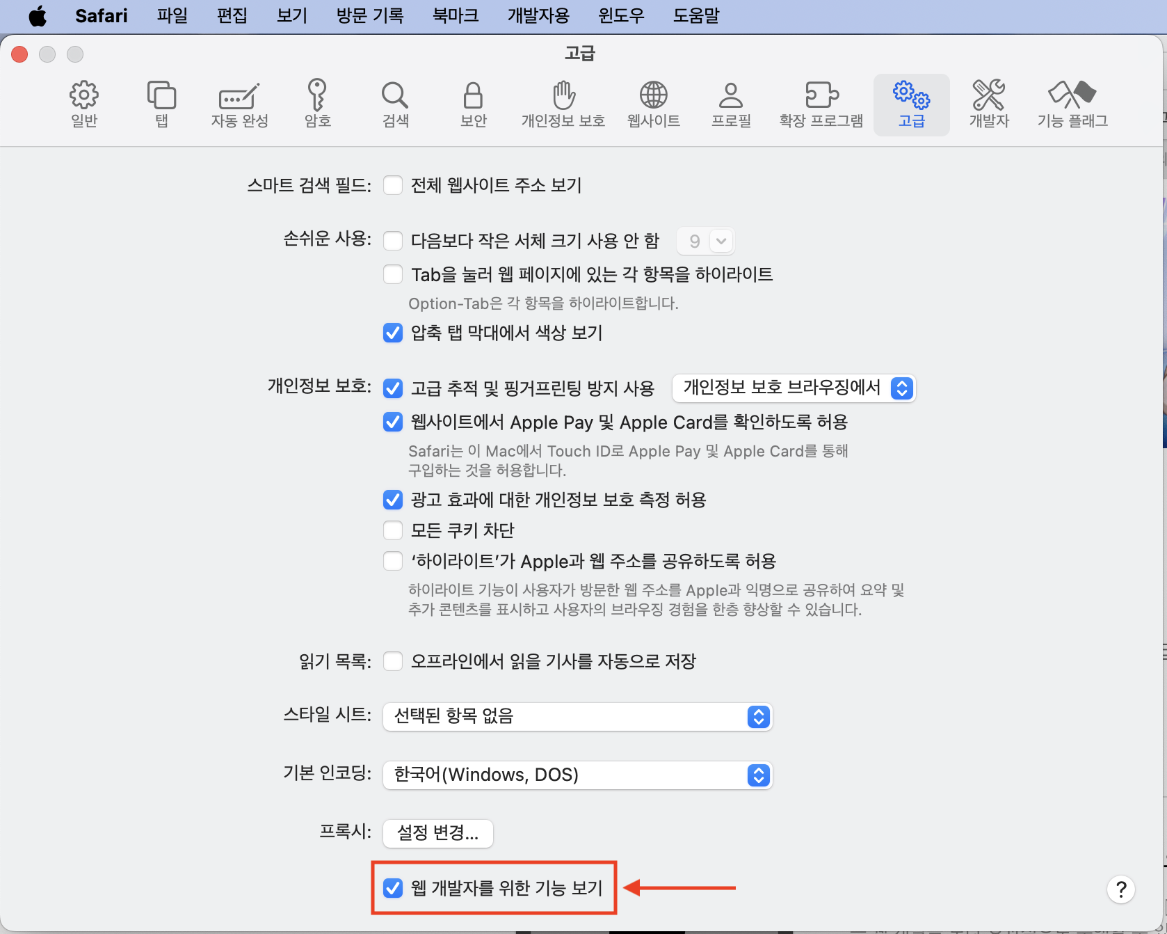 STEP 1: 웹 개발자를 위한 기능 보기 체크