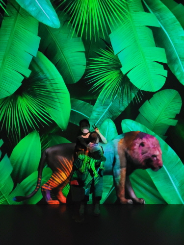 아르떼뮤지엄제주