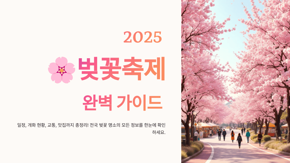 2025 전국 벚꽃축제 완벽 가이드