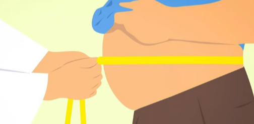 인슐린저항성 근본원인