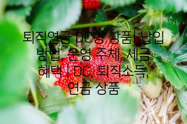 랜덤214