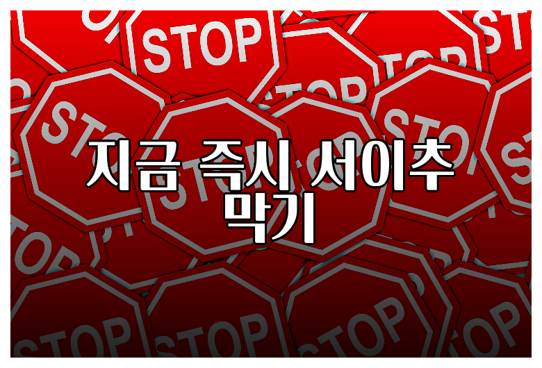 지금 즉시 서이추 막기