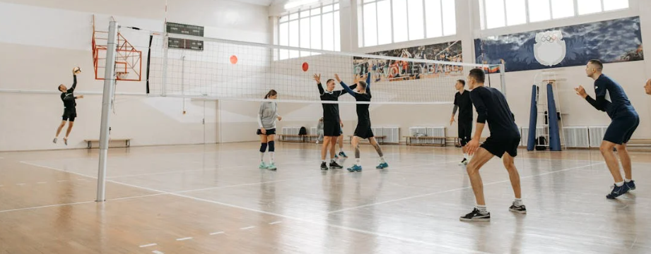 배구 관련 사진