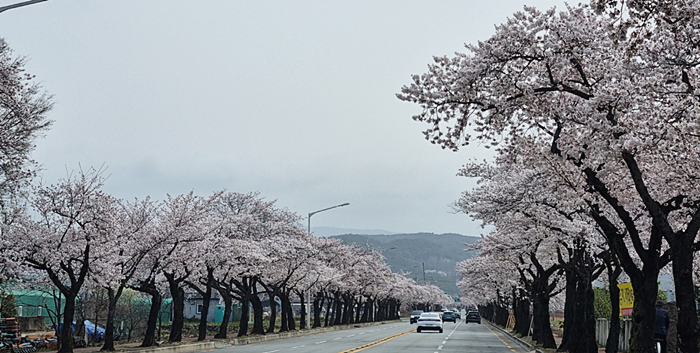 경주 보문관광단지